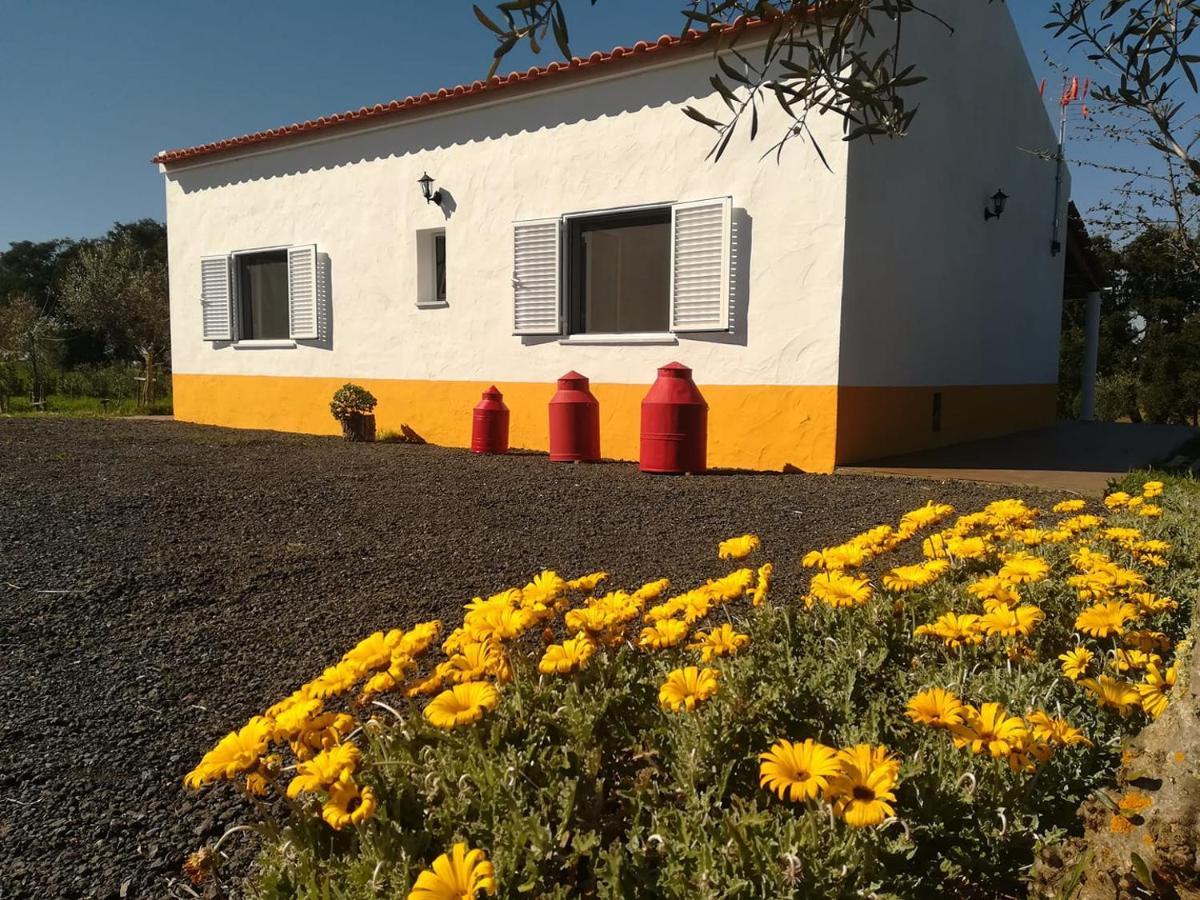 Monte Quinta Verde 페레이라도알렌테요 외부 사진
