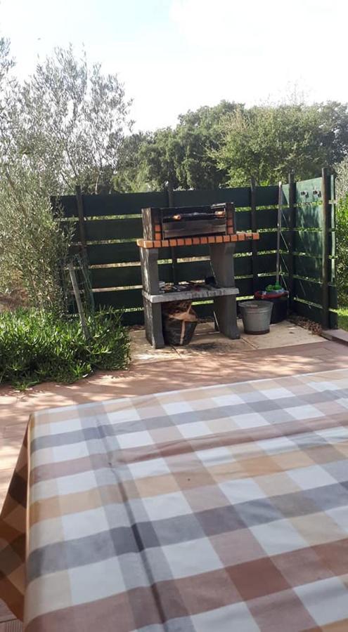 Monte Quinta Verde 페레이라도알렌테요 외부 사진