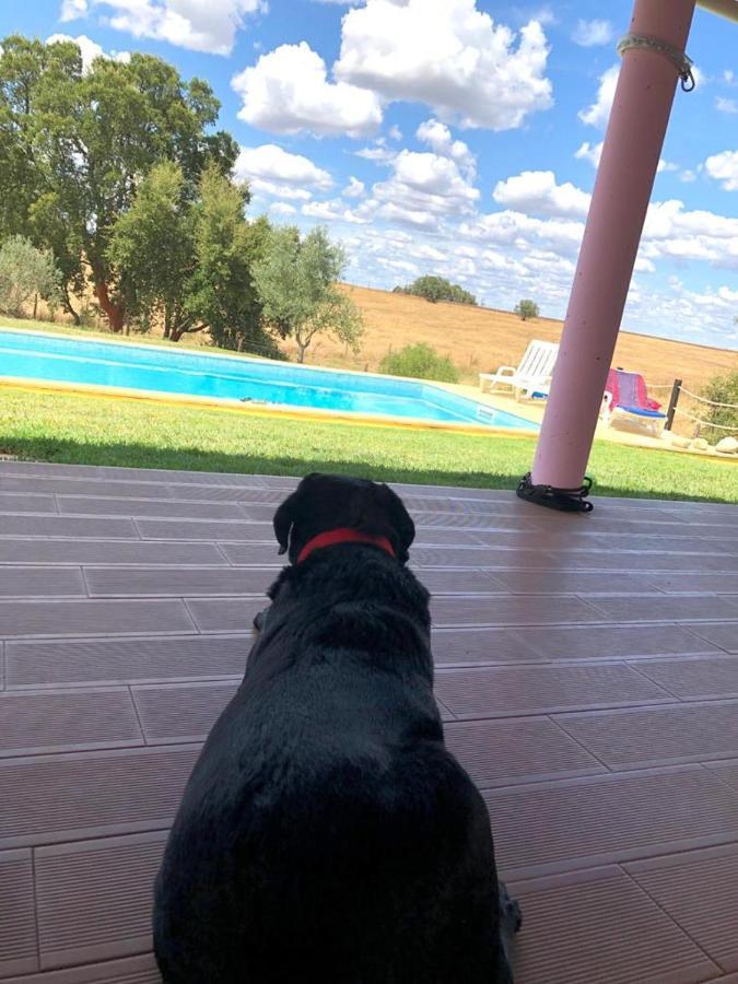 Monte Quinta Verde 페레이라도알렌테요 외부 사진