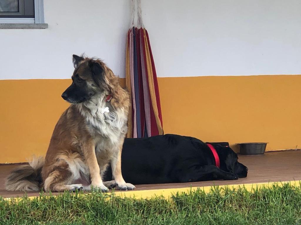 Monte Quinta Verde 페레이라도알렌테요 외부 사진